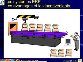 Mohamed Louadi, PhD mlouadi@louadi.com95
Wheat Wheat Wheat Wheat Wheat
Wheat Wheat Wheat
Les systèmes ERP
Les avantages et les inconvénients
 