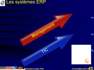 Mohamed Louadi, PhD mlouadi@louadi.com45
Les systèmes ERP
 