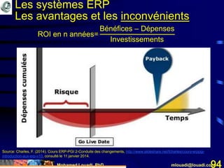 Mohamed Louadi, PhD mlouadi@louadi.com94
Les systèmes ERP
Les avantages et les inconvénients
ROI en n années=
Bénéfices – Dépenses
Investissements
Source: Charles, F. (2014). Cours ERP-PGI 2-Conduite des changements, http://www.slideshare.net/fcharles/cours-erppgi-
introduction-aux-erp-v10, consulté le 11 janvier 2014.
 