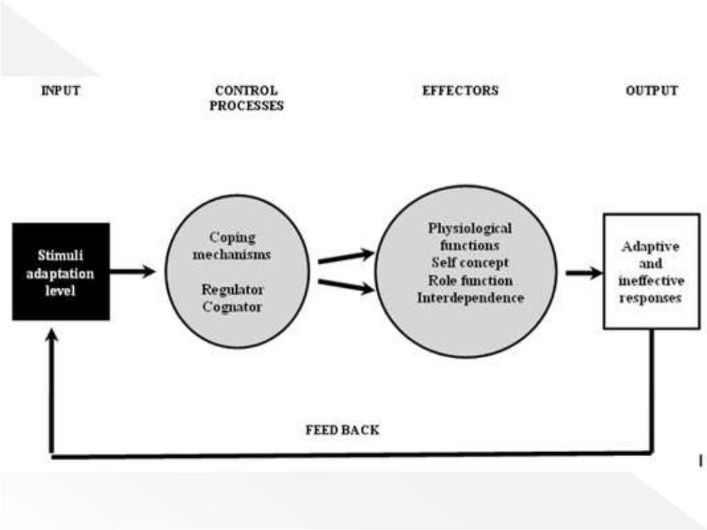 Adaptation process. Модель каллиста рой. pragmatic adaptation. каллиста схема. модель адаптации рой nursing outlook.