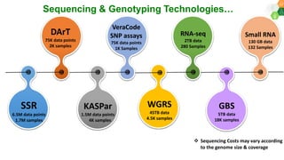 Research Program Genetic Gains (RPGG) Review Meeting 2021: Update on Sequencing & Informatics Services Unit By Ms Anu Chitikineni