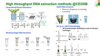 Research Program Genetic Gains (RPGG) Review Meeting 2021: Update on Sequencing & Informatics Services Unit By Ms Anu Chitikineni