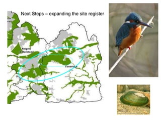 Biodiversity Net Gain (BNG): from concept to reality | PPTX