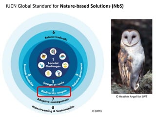Biodiversity Net Gain (BNG): from concept to reality | PPTX