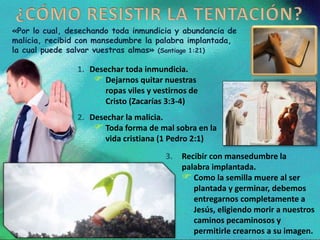 «Por lo cual, desechando toda inmundicia y abundancia de
malicia, recibid con mansedumbre la palabra implantada,
la cual puede salvar vuestras almas» (Santiago 1:21)
1. Desechar toda inmundicia.
 Dejarnos quitar nuestras
ropas viles y vestirnos de
Cristo (Zacarías 3:3-4)
2. Desechar la malicia.
 Toda forma de mal sobra en la
vida cristiana (1 Pedro 2:1)
3. Recibir con mansedumbre la
palabra implantada.
 Como la semilla muere al ser
plantada y germinar, debemos
entregarnos completamente a
Jesús, eligiendo morir a nuestros
caminos pecaminosos y
permitirle crearnos a su imagen.
 