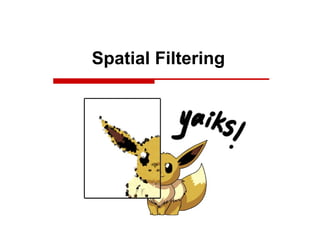 Spatial Filtering
 