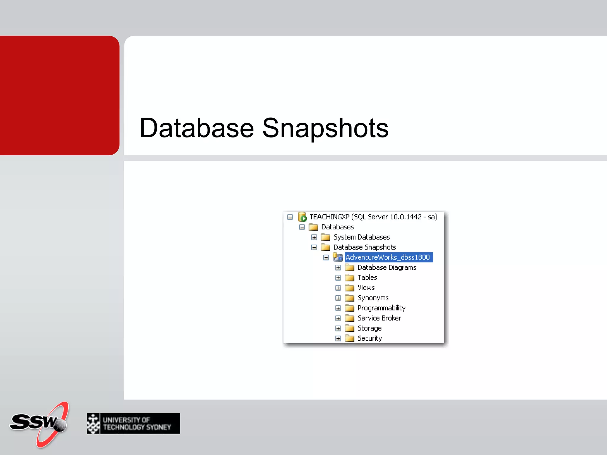 Database Snapshots