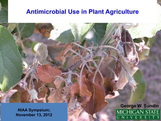 Antimicrobial Use in Plant Agriculture




                                   George W. Sundin
 NIAA Sympsium;
November 13, 2012
 
