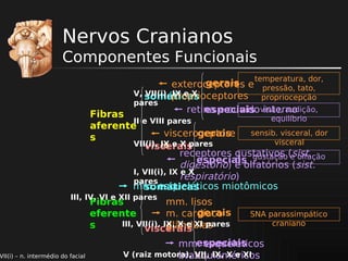 Nervos Cranianos
Componentes Funcionais
temperatura, dor,

gerais
exteroceptores e pressão, tato,
V, somáticas
VII(i), proprioceptores
IX e X
propriocepção
pares
retina e ouvidovisão, audição,
especiais interno

Fibras
equilíbrio
II e VIII pares
aferente
sensib. visceral, dor
visceroceptore
gerais
s
visceral
VII(i), IX e X pares
s
viscerais
receptores gustativos (e olfação
gustação sist.
especiais
digestório) e olfatórios (sist.
I, VII(i), IX e X
respiratório)
pares
mm. esqueléticos miotômicos
somáticas
III, IV, VI e XII pares

VII(i) – n. intermédio do facial

Fibras
mm. lisos
gerais
eferente
m. cardíaco
III, VII(i), IX, X e XI pares
s
glândulas
viscerais

SNA parassimpático
craniano

especiais
mm. esqueléticos
V (raiz motora), VII, IX, X e XI
branquioméricos

 