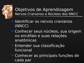 Objetivos de Aprendizagem
Nervos Cranianos e Núcleos dos NNCC








Identificar os nervos cranianos
(NNCC)
Conhecer seus núcleos, sua origem
no encéfalo e suas relações
anatômicas
Entender sua classificação
funcional
Conhecer as principais funções de
cada par

 
