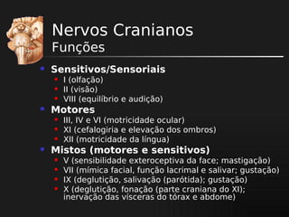 Nervos Cranianos
Funções


Sensitivos/Sensoriais






Motores






I (olfação)
II (visão)
VIII (equilíbrio e audição)
III, IV e VI (motricidade ocular)
XI (cefalogiria e elevação dos ombros)
XII (motricidade da língua)

Mistos (motores e sensitivos)





V (sensibilidade exteroceptiva da face; mastigação)
VII (mímica facial, função lacrimal e salivar; gustação)
IX (deglutição, salivação (parótida); gustação)
X (deglutição, fonação (parte craniana do XI);
inervação das vísceras do tórax e abdome)

 