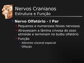 Nervos Cranianos
Estrutura e Função


Nervo Olfatório - I Par





Pequenos e numerosos feixes nervosos
Atravessam a lâmina crivosa do osso
etmóide e terminam no bulbo olfatório
Função



Aferente visceral especial
Olfação

 
