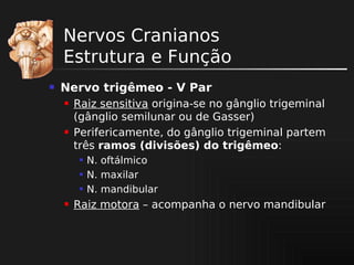 Nervos Cranianos
Estrutura e Função


Nervo trigêmeo - V Par




Raiz sensitiva origina-se no gânglio trigeminal
(gânglio semilunar ou de Gasser)
Perifericamente, do gânglio trigeminal partem
três ramos (divisões) do trigêmeo:






N. oftálmico
N. maxilar
N. mandibular

Raiz motora – acompanha o nervo mandibular

 