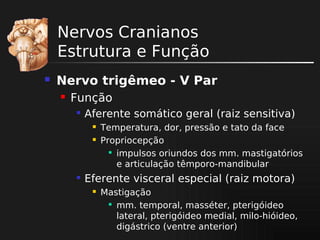 Nervos Cranianos
Estrutura e Função


Nervo trigêmeo - V Par


Função


Aferente somático geral (raiz sensitiva)





Temperatura, dor, pressão e tato da face
Propriocepção

impulsos oriundos dos mm. mastigatórios
e articulação têmporo-mandibular

Eferente visceral especial (raiz motora)


Mastigação

mm. temporal, masséter, pterigóideo
lateral, pterigóideo medial, milo-hióideo,
digástrico (ventre anterior)

 