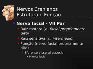 Nervos Cranianos
Estrutura e Função


Nervo facial - VII Par





Raiz motora (n. facial propriamente
dito)
Raiz sensitiva (n. intermédio)
Função (nervo facial propriamente
dito)


Eferente visceral especial


Mímica facial

 