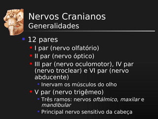 Nervos Cranianos
Generalidades


12 pares




I par (nervo olfatório)
II par (nervo óptico)
III par (nervo oculomotor), IV par
(nervo troclear) e VI par (nervo
abducente)




Inervam os músculos do olho

V par (nervo trigêmeo)




Três ramos: nervos oftálmico, maxilar e
mandibular
Principal nervo sensitivo da cabeça

 