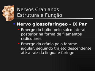 Nervos Cranianos
Estrutura e Função


Nervo glossofaríngeo - IX Par




Emerge do bulbo pelo sulco lateral
posterior na forma de filamentos
radiculares
Emerge do crânio pelo forame
jugular, seguindo trajeto descendente
até a raiz da língua e faringe

 