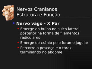 Nervos Cranianos
Estrutura e Função


Nervo vago - X Par





Emerge do bulbo no sulco lateral
posterior na forma de filamentos
radiculares
Emerge do crânio pelo forame jugular
Percorre o pescoço e o tórax,
terminando no abdome

 