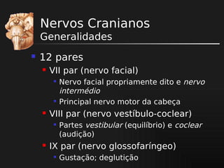 Nervos Cranianos
Generalidades


12 pares


VII par (nervo facial)






VIII par (nervo vestíbulo-coclear)




Nervo facial propriamente dito e nervo
intermédio
Principal nervo motor da cabeça
Partes vestibular (equilíbrio) e coclear
(audição)

IX par (nervo glossofaríngeo)


Gustação; deglutição

 
