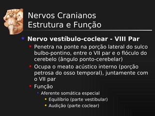 Nervos Cranianos
Estrutura e Função


Nervo vestíbulo-coclear - VIII Par






Penetra na ponte na porção lateral do sulco
bulbo-pontino, entre o VII par e o flóculo do
cerebelo (ângulo ponto-cerebelar)
Ocupa o meato acústico interno (porção
petrosa do osso temporal), juntamente com
o VII par
Função


Aferente somática especial
 Equilíbrio (parte vestibular)
 Audição (parte coclear)

 