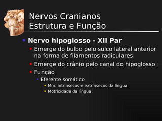 Nervos Cranianos
Estrutura e Função


Nervo hipoglosso - XII Par





Emerge do bulbo pelo sulco lateral anterior
na forma de filamentos radiculares
Emerge do crânio pelo canal do hipoglosso
Função


Eferente somático



Mm. intrínsecos e extrínsecos da língua
Motricidade da língua

 