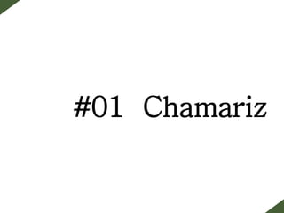#01 Chamariz
 