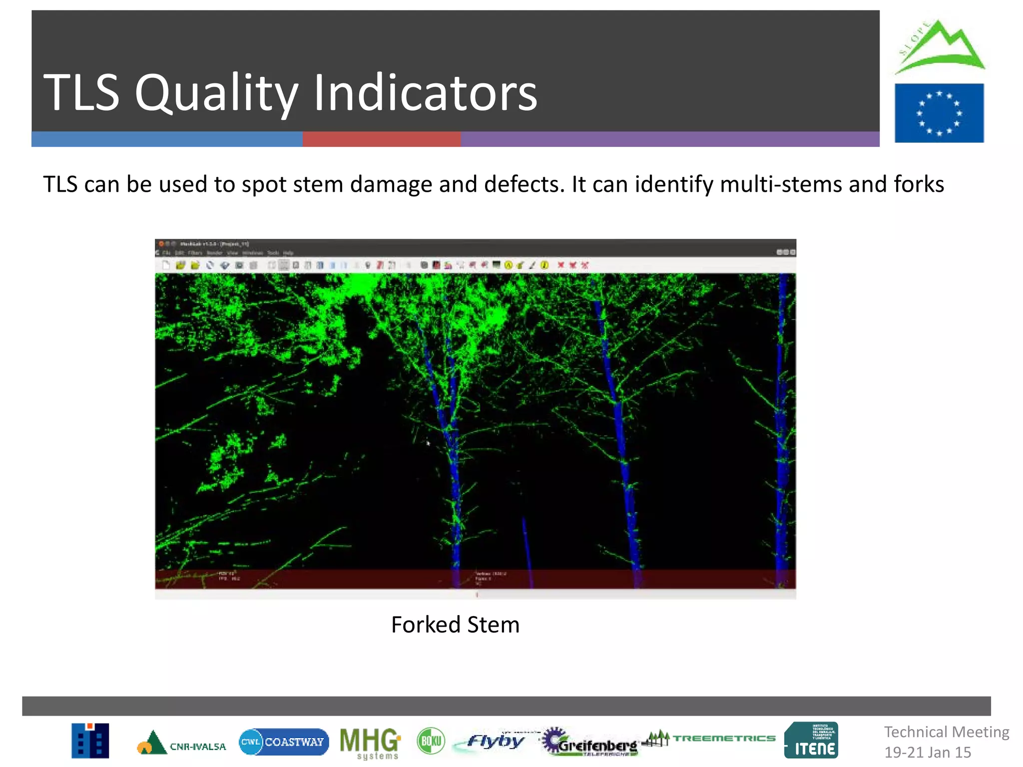 TLS Quality Indicators
Forked Stem
TLS can be used to spot stem damage and defects. It can identify multi-stems and forks
Technical Meeting
19-21 Jan 15
 