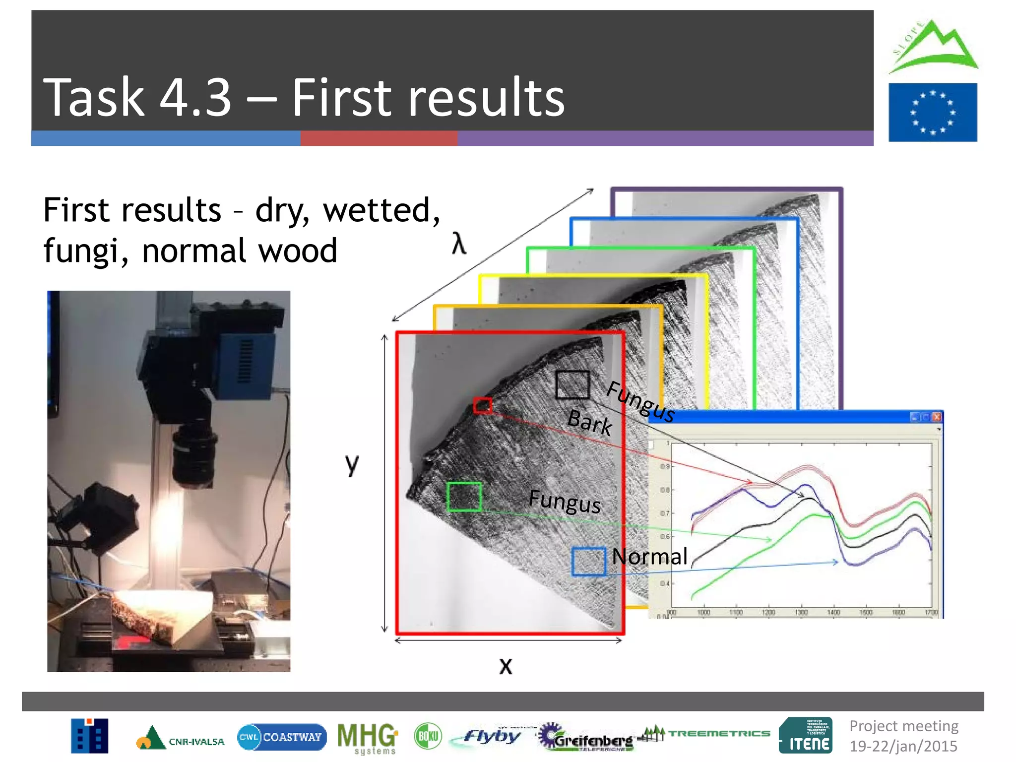 Task 4.3 – First results
First results – dry, wetted,
fungi, normal wood
Project meeting
19-22/jan/2015
Normal
 