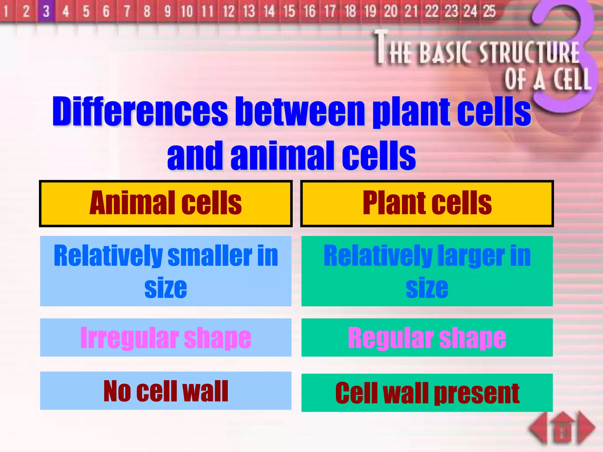 Differences between plant cells
and animal cells
Animal cells Plant cells
Relatively smaller in
size
Irregular shape
No cell wall
Relatively larger in
size
Regular shape
Cell wall present
 