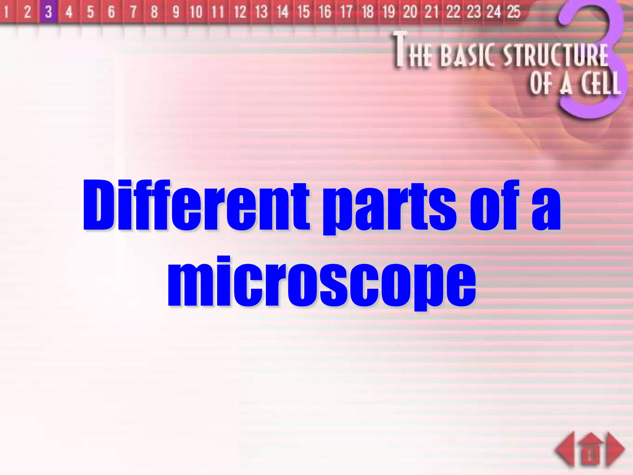 Different parts of a
microscope
 