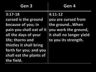 03 the beginning of genesis