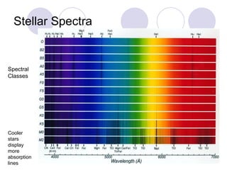 Stellar Spectra Spectral Classes Cooler stars display more absorption lines 