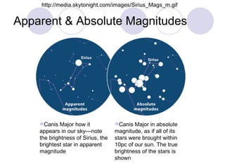 Apparent & Absolute Magnitudes http://media.skytonight.com/images/Sirius_Mags_m.gif Canis Major how it appears in our sky—note the brightness of Sirius, the brightest star in apparent magnitude Canis Major in absolute magnitude, as if all of its stars were brought within 10pc of our sun. The true brightness of the stars is shown 