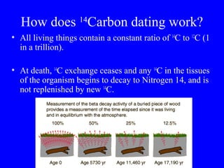 14
  How does Carbon dating work?
• All living things contain a constant ratio of 14C to 12C (1
  in a trillion).

• At death, 14C exchange ceases and any 14C in the tissues
  of the organism begins to decay to Nitrogen 14, and is
  not replenished by new 14C.
 