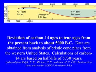 Deviation of carbon-14 ages to true ages from
  the present back to about 5000 B.C. Data are
 obtained from analysis of bristle cone pines from
the western United States. Calculations of carbon-
      14 are based on half-life of 5730 years.
(Adapted from Ralph, E. K., Michael, H. N., and Han, M. C. 1973. Radiocarbon
                 dates and reality. MASCA Newsletter 9:1.)
 