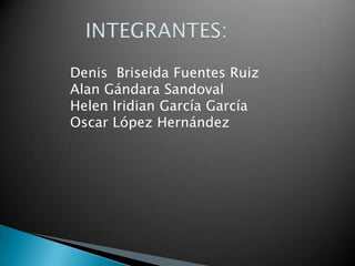 Denis Briseida Fuentes Ruiz
Alan Gándara Sandoval
Helen Iridian García García
Oscar López Hernández

 