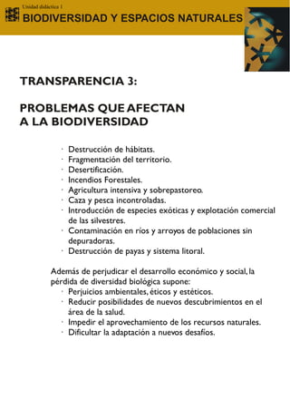 Unidad didáctica 1

BIODIVERSIDAD Y ESPACIOS NATURALES




TRANSPARENCIA 3:

PROBLEMAS QUE AFECTAN
A LA BIODIVERSIDAD

                · Destrucción de hábitats.
                · Fragmentación del territorio.
                · Desertificación.
                · Incendios Forestales.
                · Agricultura intensiva y sobrepastoreo.
                · Caza y pesca incontroladas.
                · Introducción de especies exóticas y explotación comercial
                  de las silvestres.
                · Contaminación en ríos y arroyos de poblaciones sin
                  depuradoras.
                · Destrucción de payas y sistema litoral.

            Además de perjudicar el desarrollo económico y social, la
            pérdida de diversidad biológica supone:
              · Perjuicios ambientales, éticos y estéticos.
              · Reducir posibilidades de nuevos descubrimientos en el
                 área de la salud.
              · Impedir el aprovechamiento de los recursos naturales.
              · Dificultar la adaptación a nuevos desafíos.
 