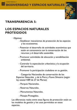Unidad didáctica 1

BIODIVERSIDAD Y ESPACIOS NATURALES




TRANSPARENCIA 5:

LOS ESPACIOS NATURALES
PROTEGIDOS
         · Objetivos:
                 - Establecer mecanismos de protección de las especies
                    y los ecosistemas.
                     - Potenciar el desarrollo de actividades económicas que
                        estén en consonancia con la conservación de los
                        recursos y el desarrollo sostenible.
                     - Promover actividades de educación y sensibilización
                        ambiental.
                     - Controlar la especulación urbanística y la ocupación
                        del territorio.
                     - Promover la participación ciudadana en su gestión.
                    · Categorías Nacionales de conservación de los
                 Espacios Naturales y de la Flora y Fauna Silvestre (según
                 ley estatal 4/89 de 27 de Marzo):
                     - Parques Nacionales.
                     - Reservas Naturales.
                     - Monumentos Naturales.
                     - Paisajes Protegidos.
         Las diferencias reales entre estas figuras de protección están en
         los modelos de gestión y los usos permitidos en estos
         espacios.
 