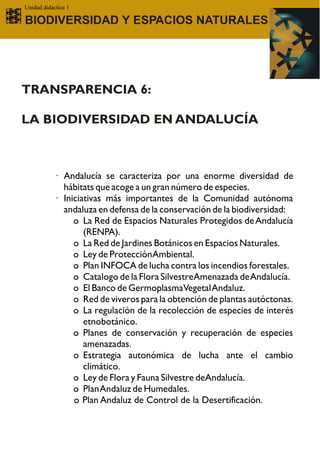 Unidad didáctica 1

BIODIVERSIDAD Y ESPACIOS NATURALES




TRANSPARENCIA 6:

LA BIODIVERSIDAD EN ANDALUCÍA



           · Andalucía se caracteriza por una enorme diversidad de
             hábitats que acoge a un gran número de especies.
           · Iniciativas más importantes de la Comunidad autónoma
             andaluza en defensa de la conservación de la biodiversidad:
                o La Red de Espacios Naturales Protegidos de Andalucía
                   (RENPA).
                o La Red de Jardines Botánicos en Espacios Naturales.
                o Ley de ProtecciónAmbiental.
                o Plan INFOCA de lucha contra los incendios forestales.
                o Catalogo de la Flora SilvestreAmenazada de Andalucía.
                o El Banco de GermoplasmaVegetal Andaluz.
                o Red de viveros para la obtención de plantas autóctonas.
                o La regulación de la recolección de especies de interés
                   etnobotánico.
                o Planes de conservación y recuperación de especies
                   amenazadas.
                o Estrategia autonómica de lucha ante el cambio
                   climático.
                o Ley de Flora y Fauna Silvestre deAndalucía.
                o Plan Andaluz de Humedales.
                o Plan Andaluz de Control de la Desertificación.
 