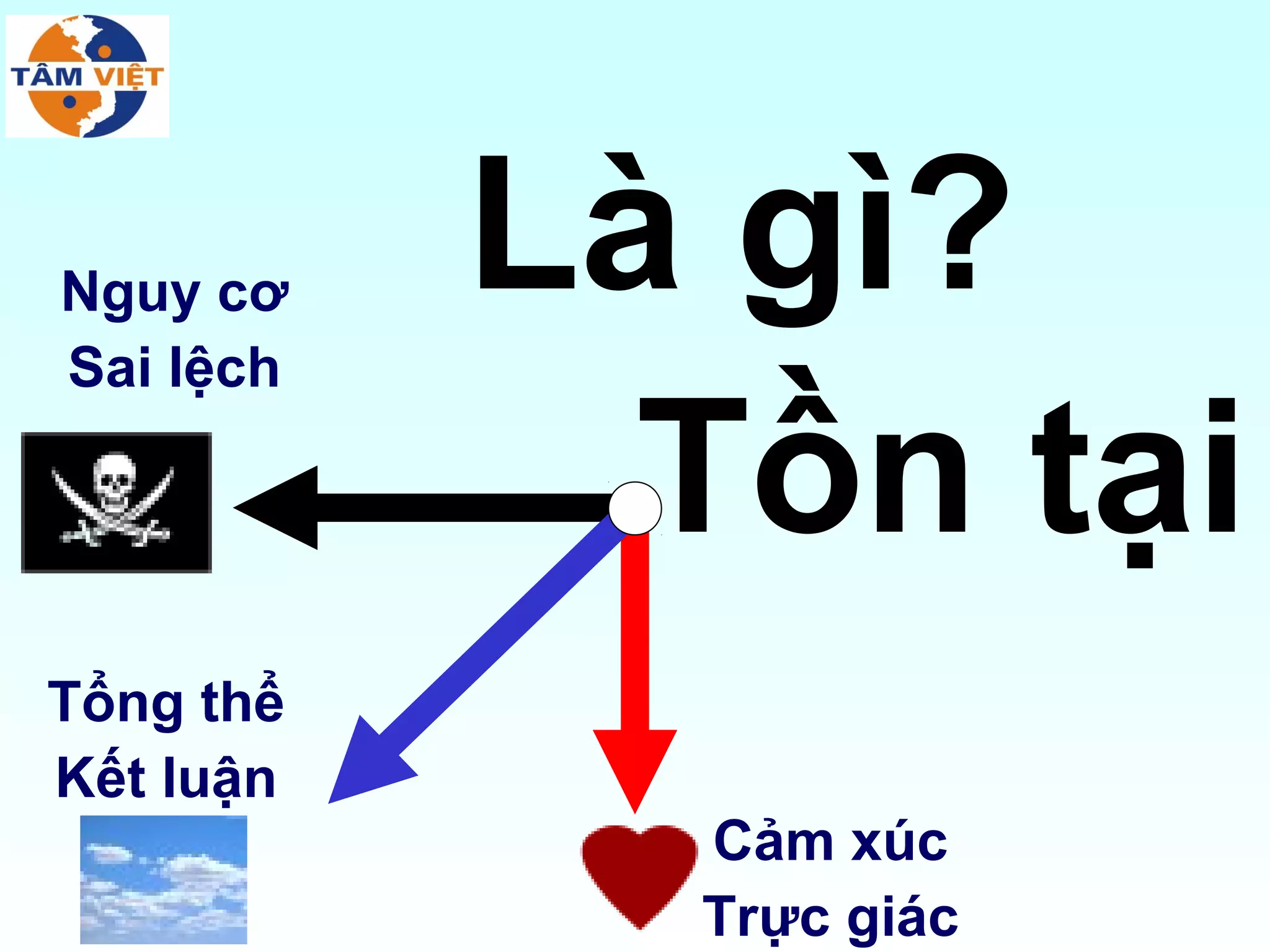 Nguy cơ    Là gì?
Sai lệch

             Tồn tại
Tổng thể
Kết luận
             Cảm xúc
             Trực giác
 