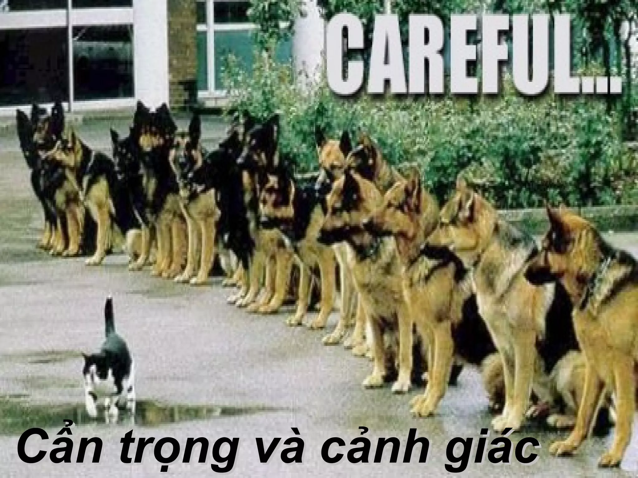 Cẩn trọng và cảnh giác
 