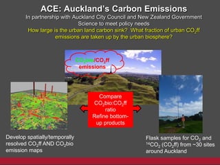 ACE: Auckland’s Carbon Emissions
In partnership with Auckland City Council and New Zealand Government
Science to meet policy needs
How large is the urban land carbon sink? What fraction of urban CO2ff
emissions are taken up by the urban biosphere?
CO2bio/CO2ff
emissions
Develop spatially/temporally
resolved CO2ff AND CO2bio
emission maps
Flask samples for CO2 and
14CO2 (CO2ff) from ~30 sites
around Auckland
Compare
CO2bio:CO2ff
ratio
Refine bottom-
up products
 