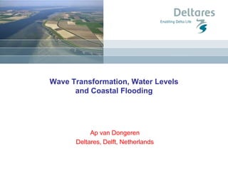 Wave Transformation, Water Levels
and Coastal Flooding
Ap van Dongeren
Deltares, Delft, Netherlands
 
