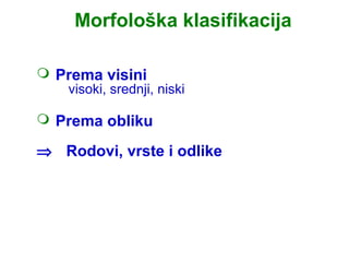 Morfološka klasifikacija

 Prema visini
   visoki, srednji, niski

 Prema obliku

⇒ Rodovi, vrste i odlike
 