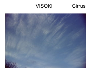 VISOKI   Cirrus
 