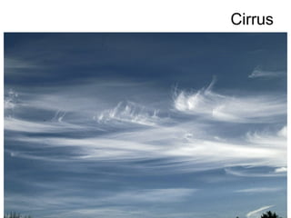 Cirrus
 