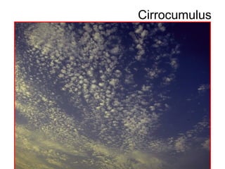 Cirrocumulus
 
