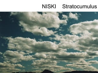 NISKI   Stratocumulus
 