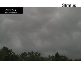 Stratus
 
