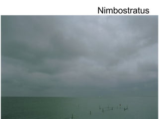 Nimbostratus
 